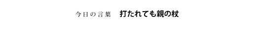 打たれても親の杖